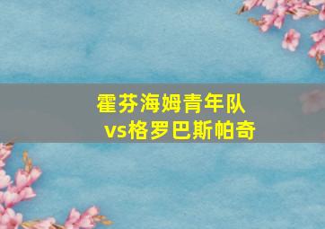 霍芬海姆青年队 vs格罗巴斯帕奇